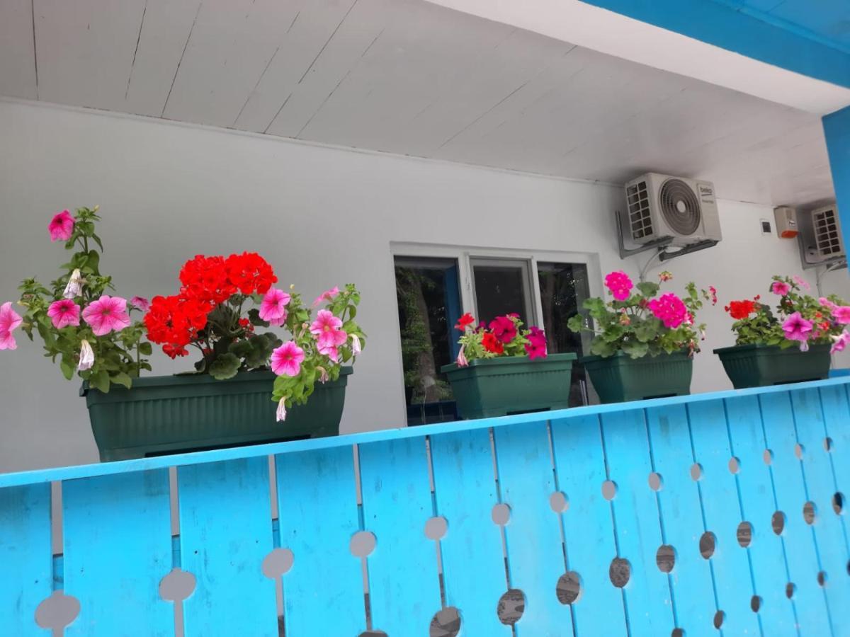 Quarto em Acomodações Particulares Casa Dobrogea