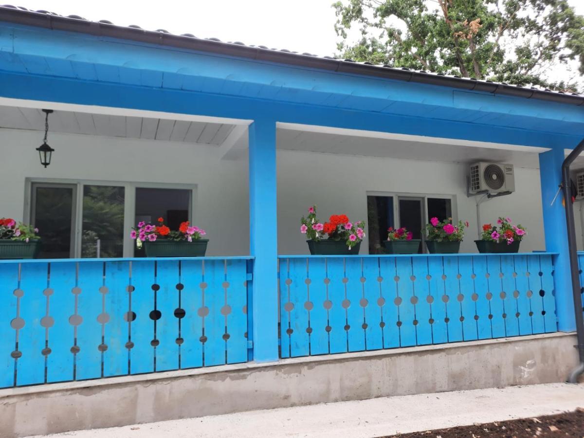 Casa Dobrogea