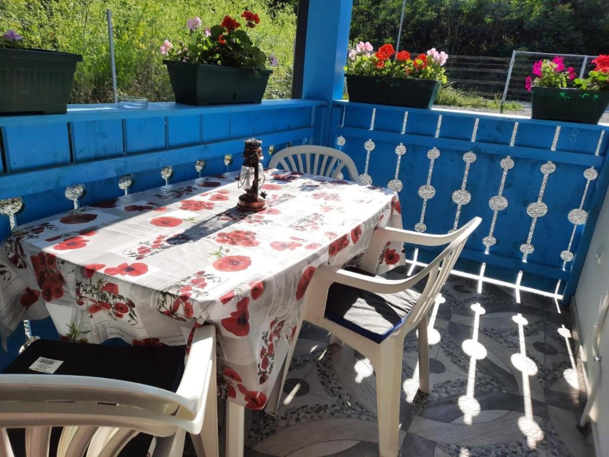 Casa Dobrogea Quarto em Acomodações Particulares